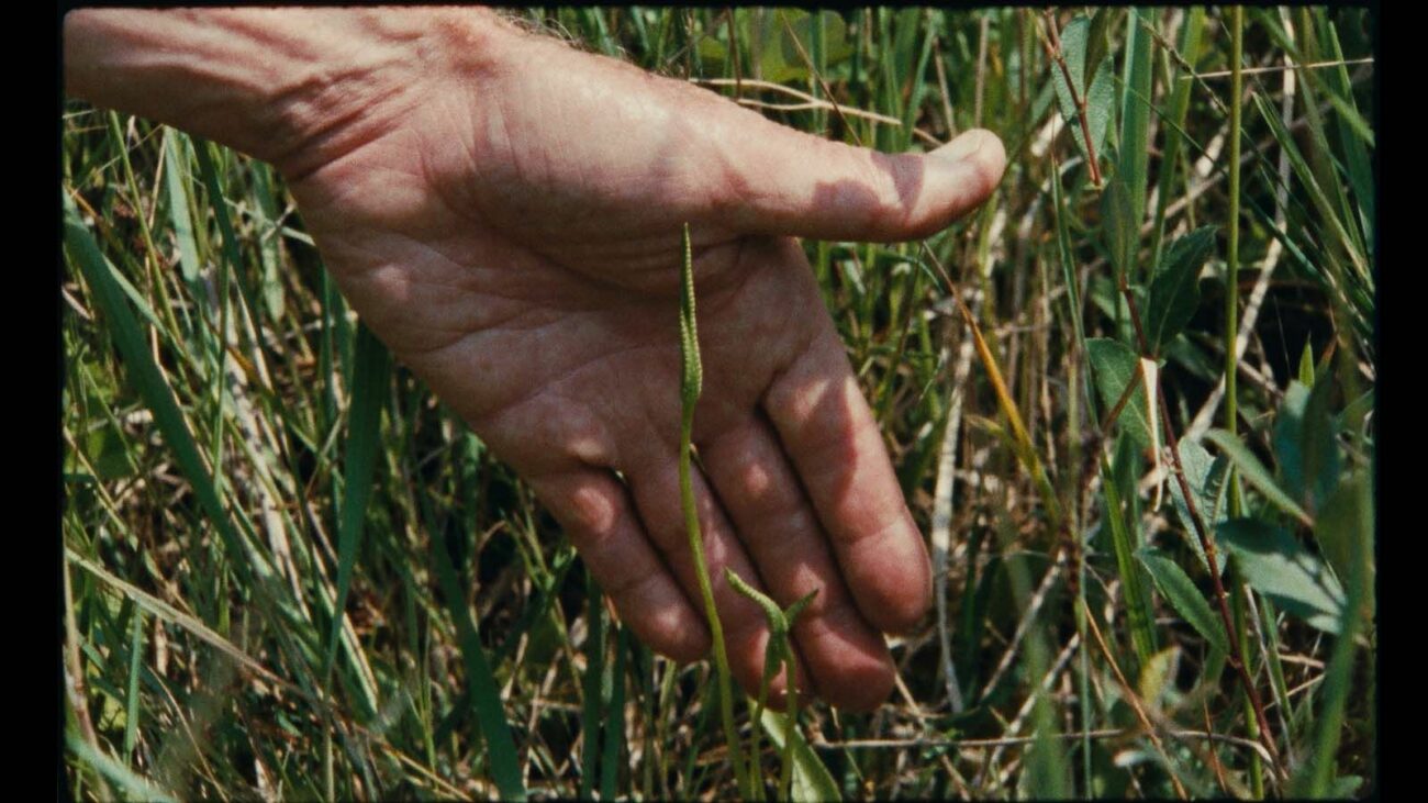 528ce49ac872a0d091eb3890ed3c3603